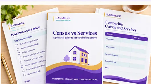 Census vs Services workbook pages